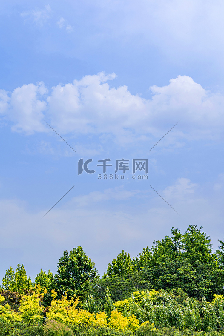 清新自然风景蓝天白云绿植摄影图