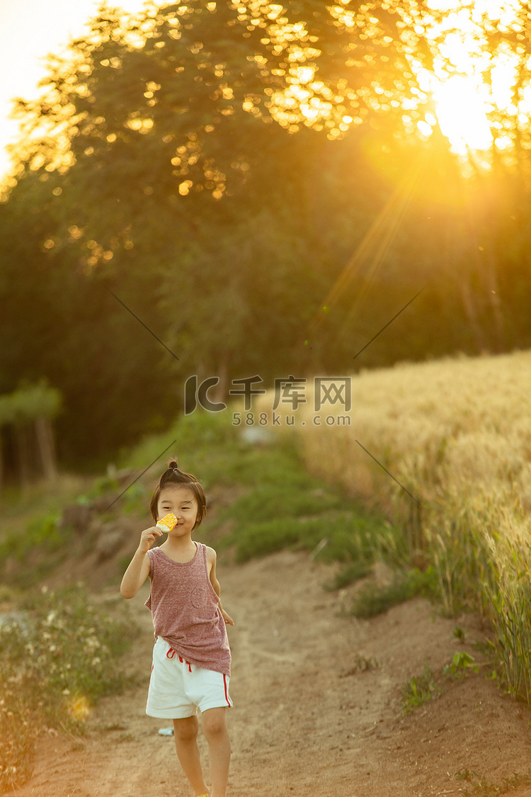 夏日儿童人像夕阳小男生麦田开心