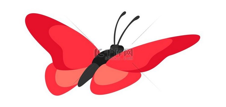 装饰蝴蝶的插图色彩鲜艳抽象昆虫