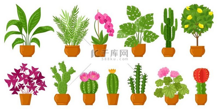 卡通房子植物装饰盆栽植物和花卉