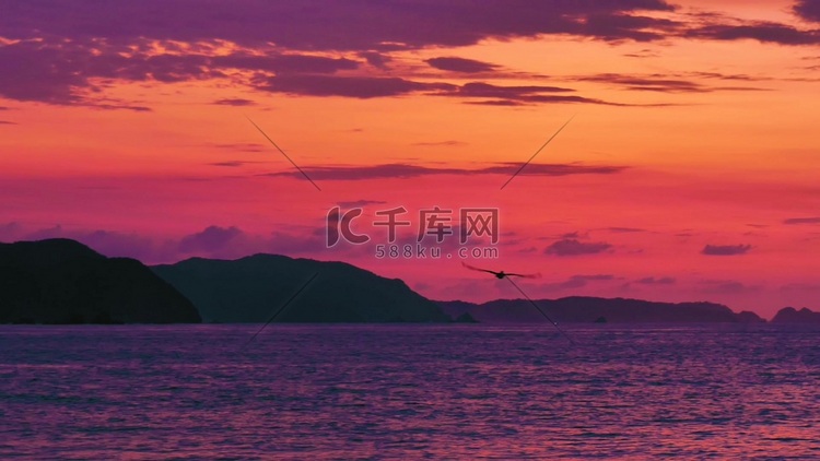 夕阳火烧云大海海鸥
