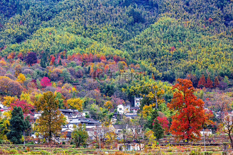 秋季风景白天房屋山区摇动摄影图