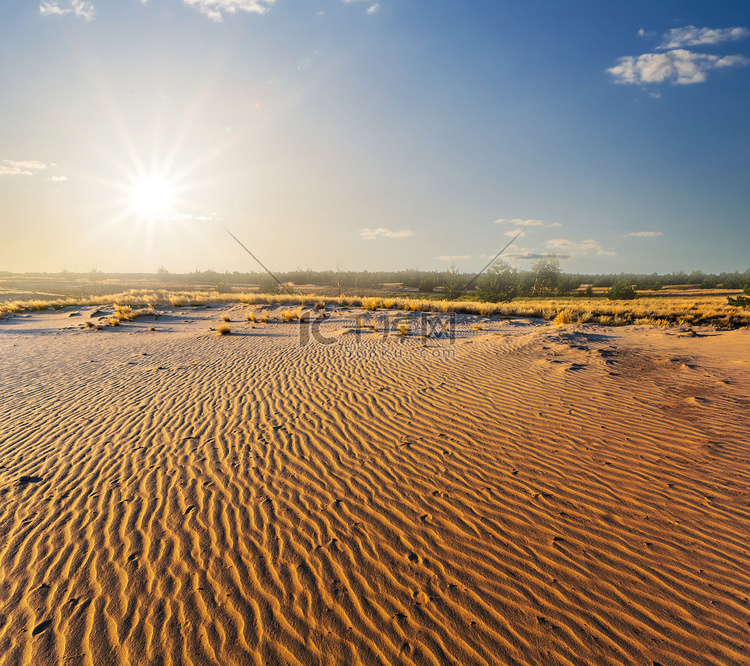 炎热的夏季沙质沙漠景观在日落