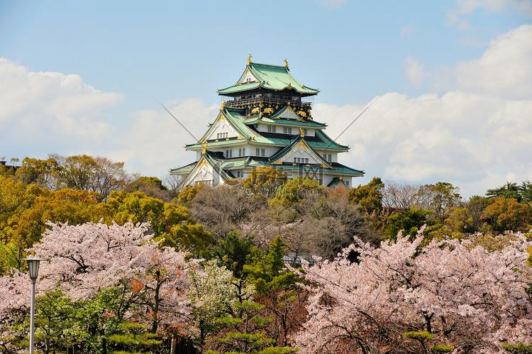 大阪城堡与樱花 