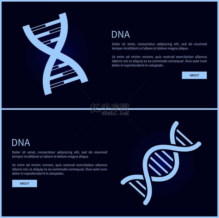 网页的 DNA 收集、带有 D