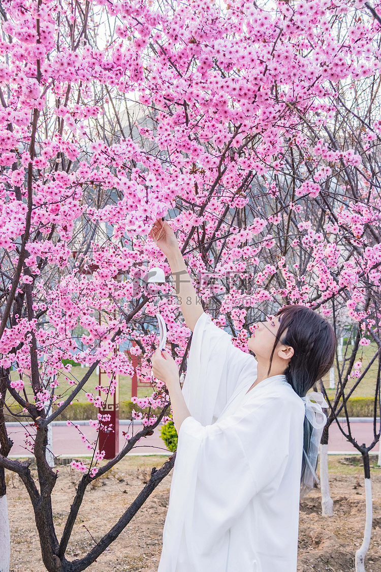 古风美女桃花园春季赏花摄影图配