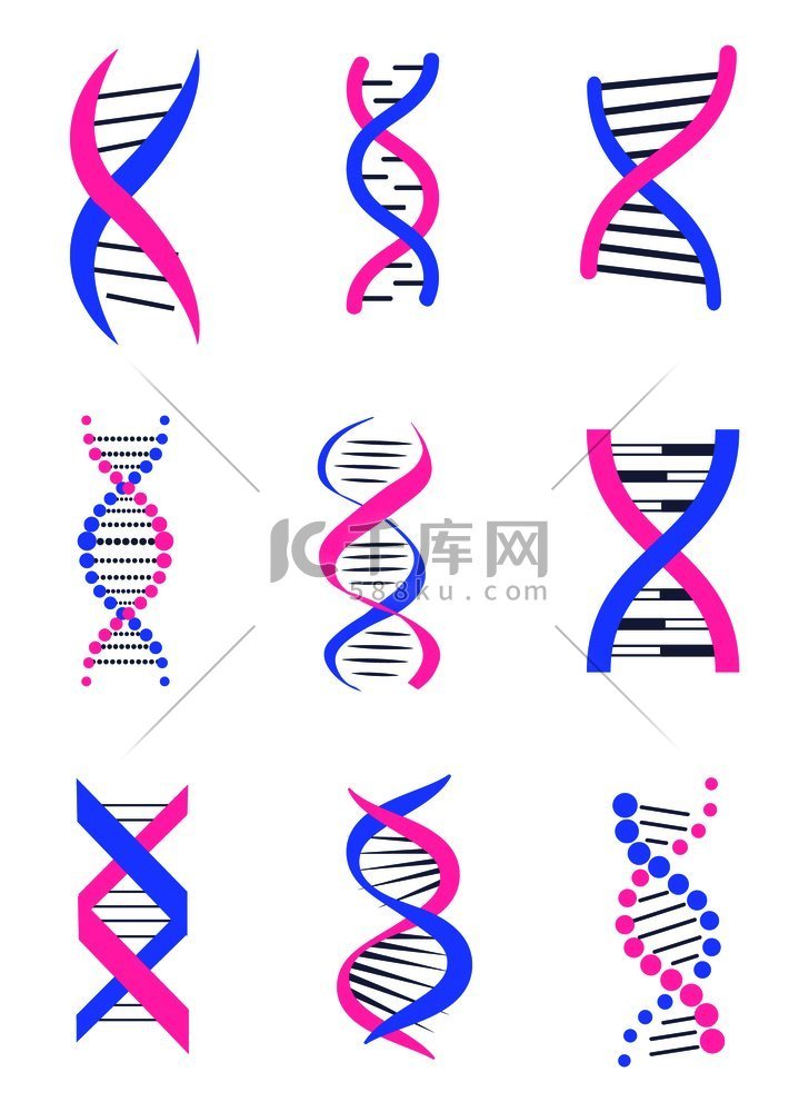 一组 DNA 线状链彩色横幅隔
