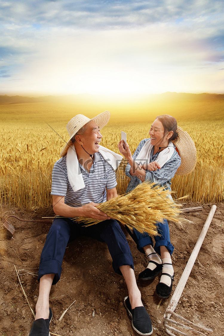 农民夫妇在麦田里用手机视频
