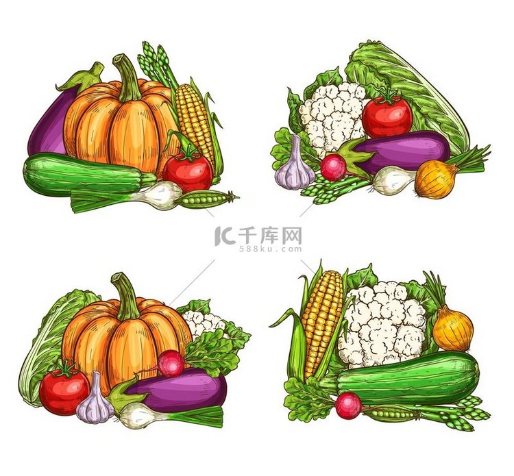 蔬菜、健康素食、农场病媒蔬菜。