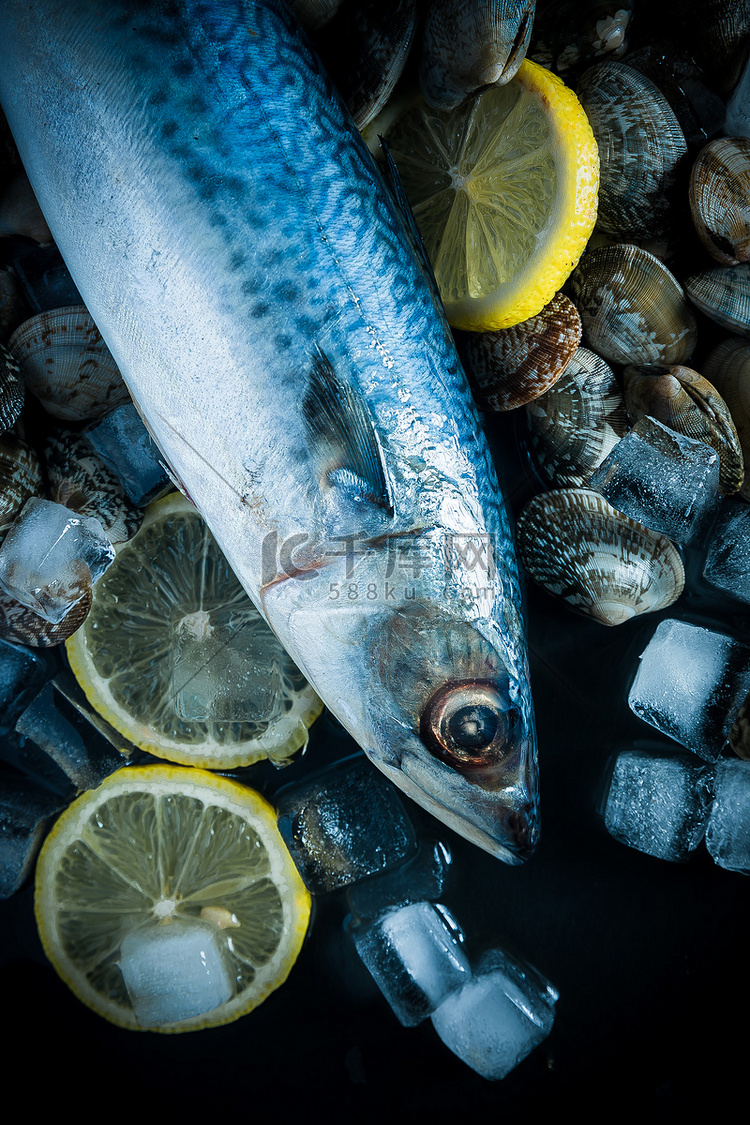 海鲜白天鲅鱼室内桌面静物摄影图