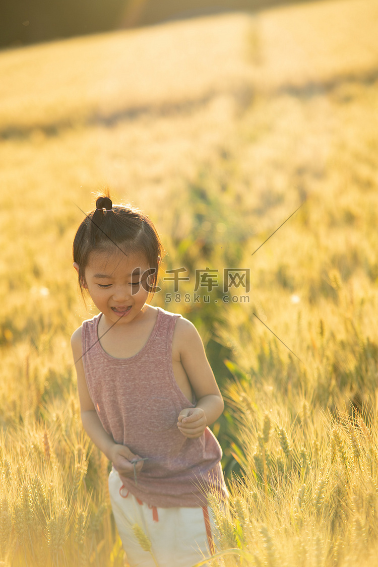 夏日儿童人像白天一个儿童麦田开