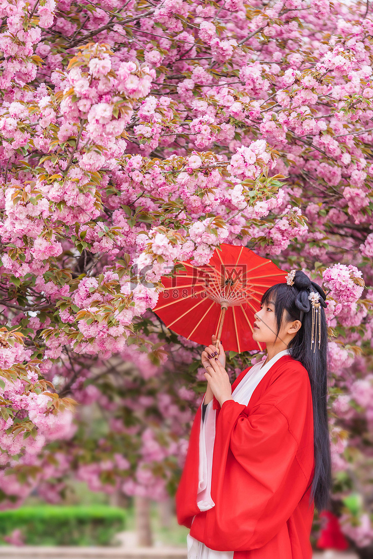 樱花人像白天古装少女户外树下打