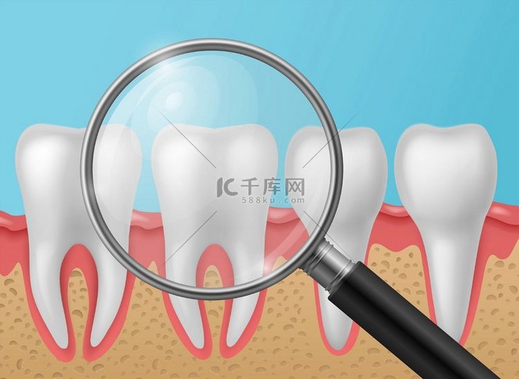 用放大镜的健康牙齿。