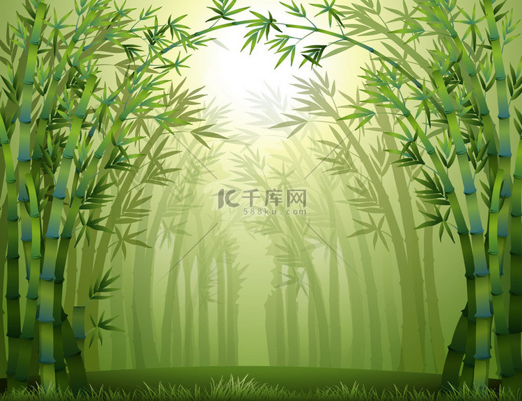 竹树的林子里
