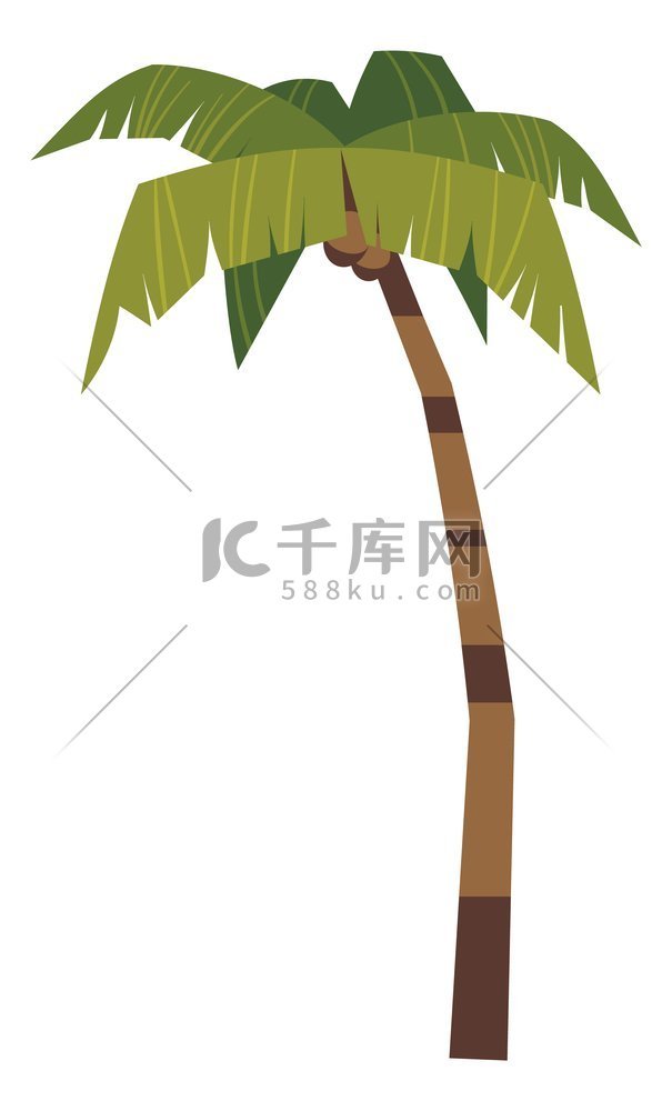 卡通棕榈异国情调的树在白色背景