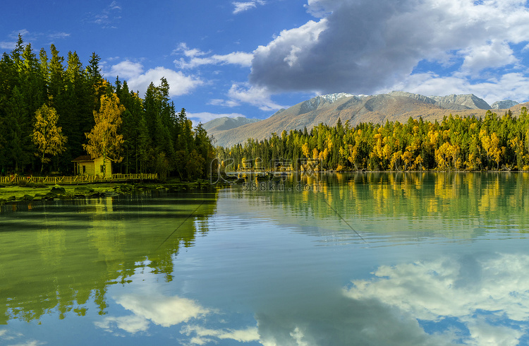 喀纳斯景区白天喀纳斯湖秋季全景