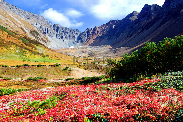 夏日风景的高山和田野的堪察加半