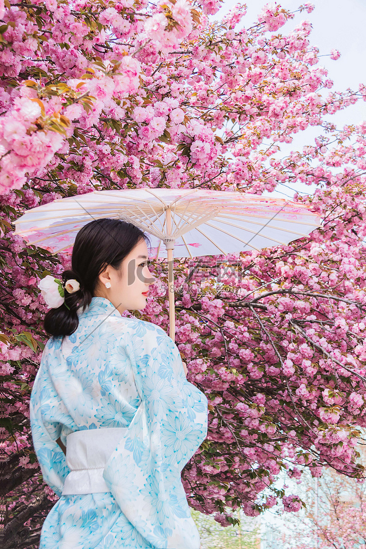 樱花人像白天和服美女户外打伞摄