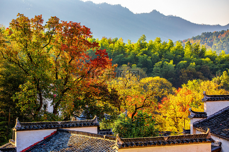 秋日风景上午村庄山区飘动摄影图
