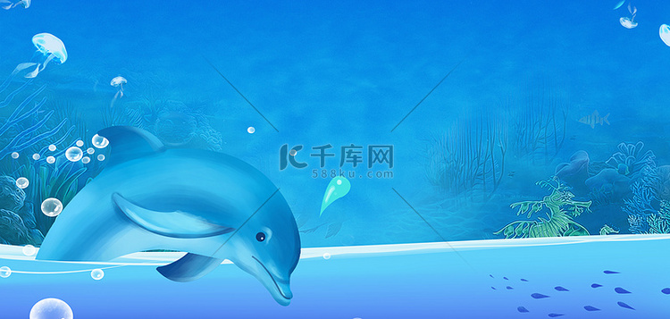 海洋海豚大海 蓝色