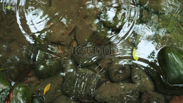 下雨天雨滴落水面波纹涟漪