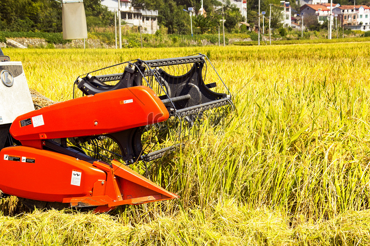 农业晌午水稻丰收收割机特写摄影