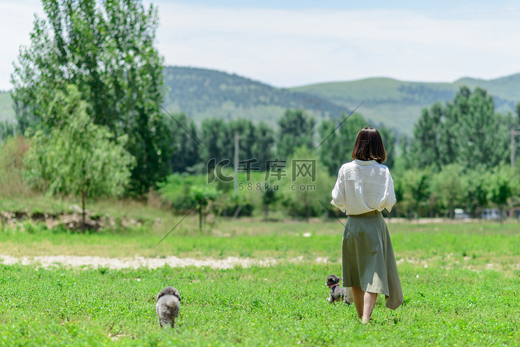 宠物狗白天人和狗草地走路摄影图