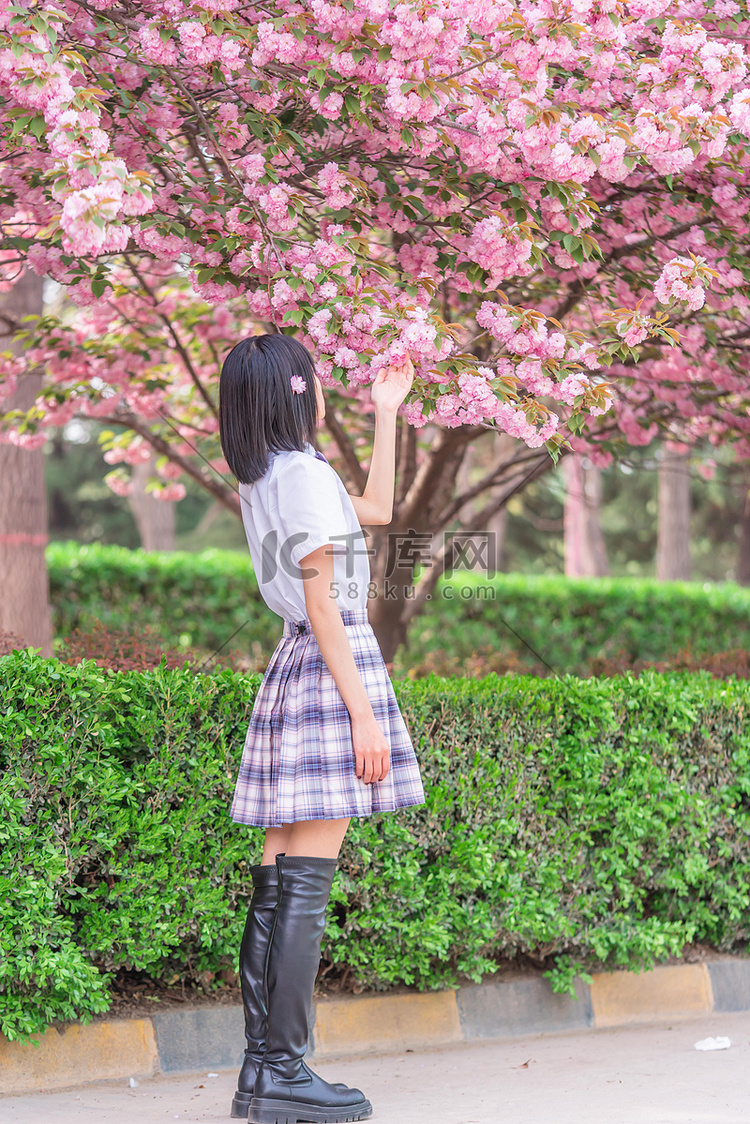 樱花人像白天少女户外赏花摄影图