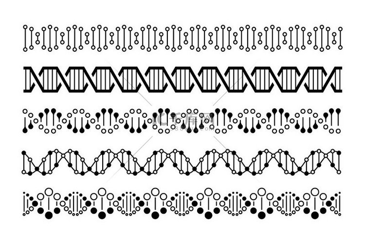 元素分子基因组编码染色体螺旋和