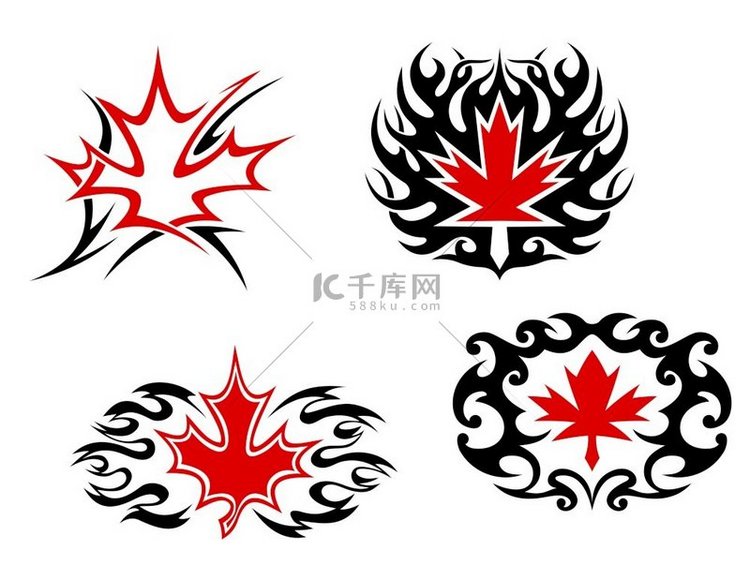 用于纹身设计的枫叶吉祥物和符号