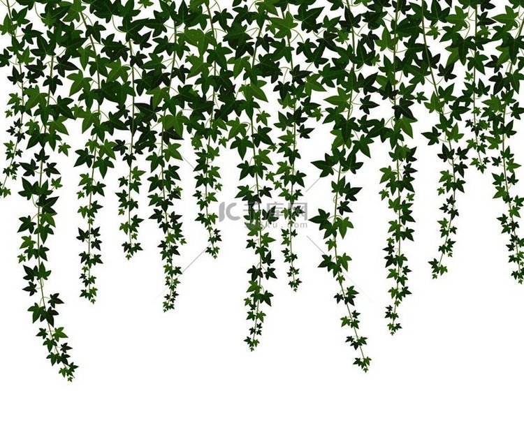 绿色常春藤爬壁植物悬挂在上面花