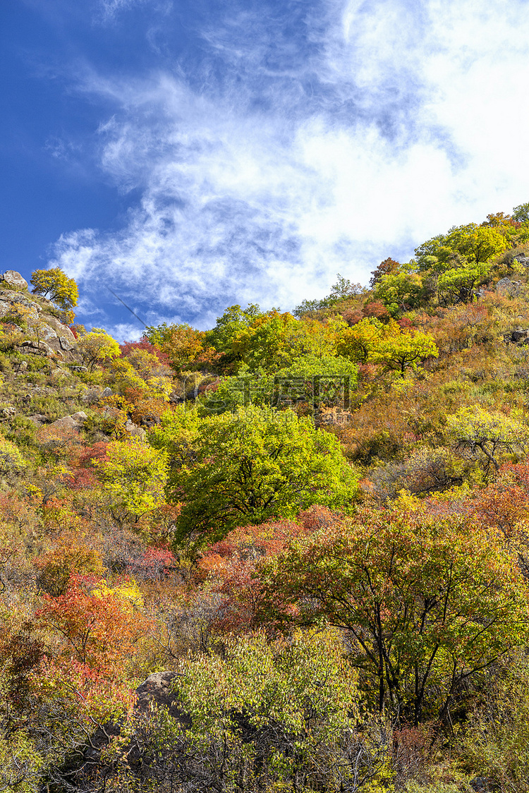 秋季彩林上午彩林秋季素材摄影图