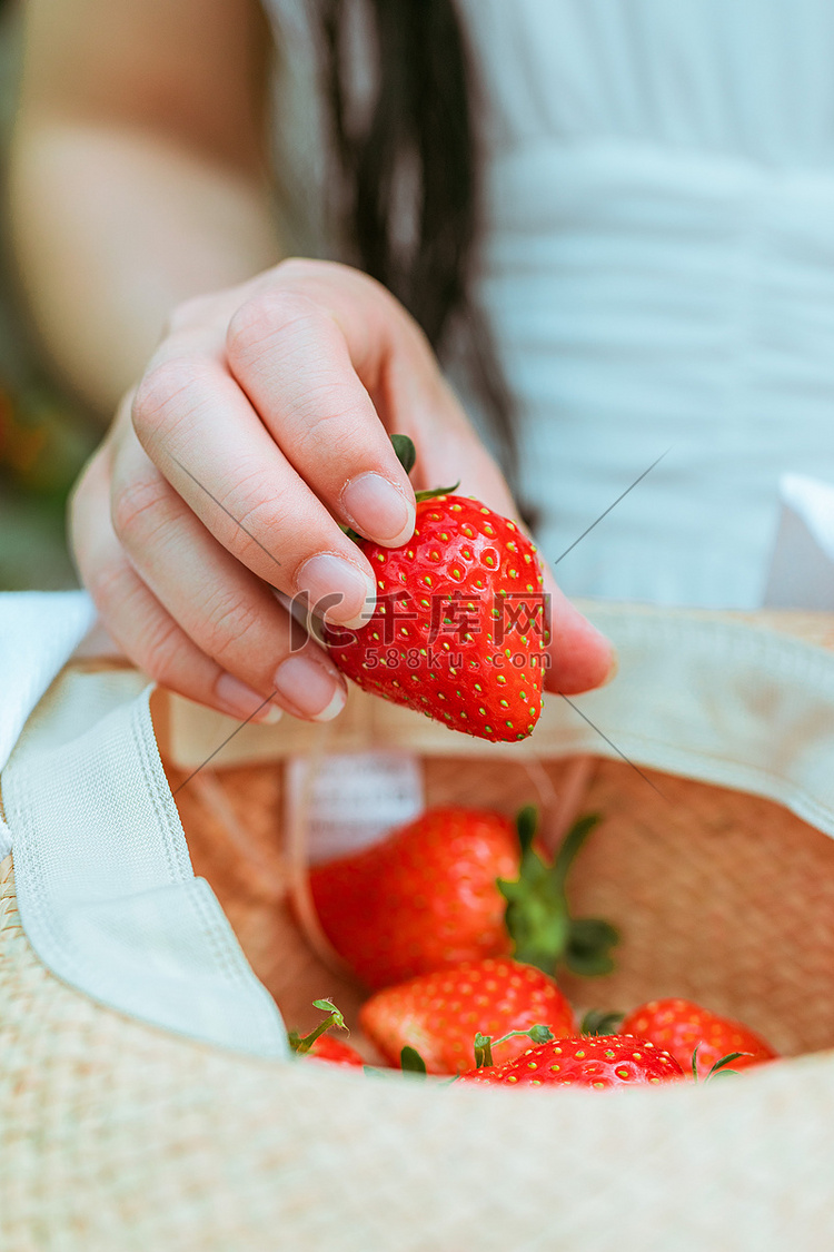 草莓采摘白天草莓特写户外拿起草