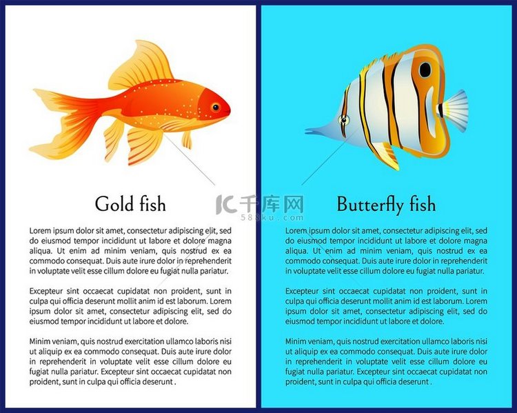 蝴蝶和金鱼卡通平面矢量插图海报