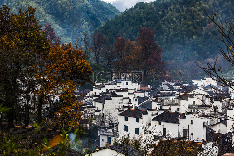 婺源石潭秋色秋天红枫叶乡村户外