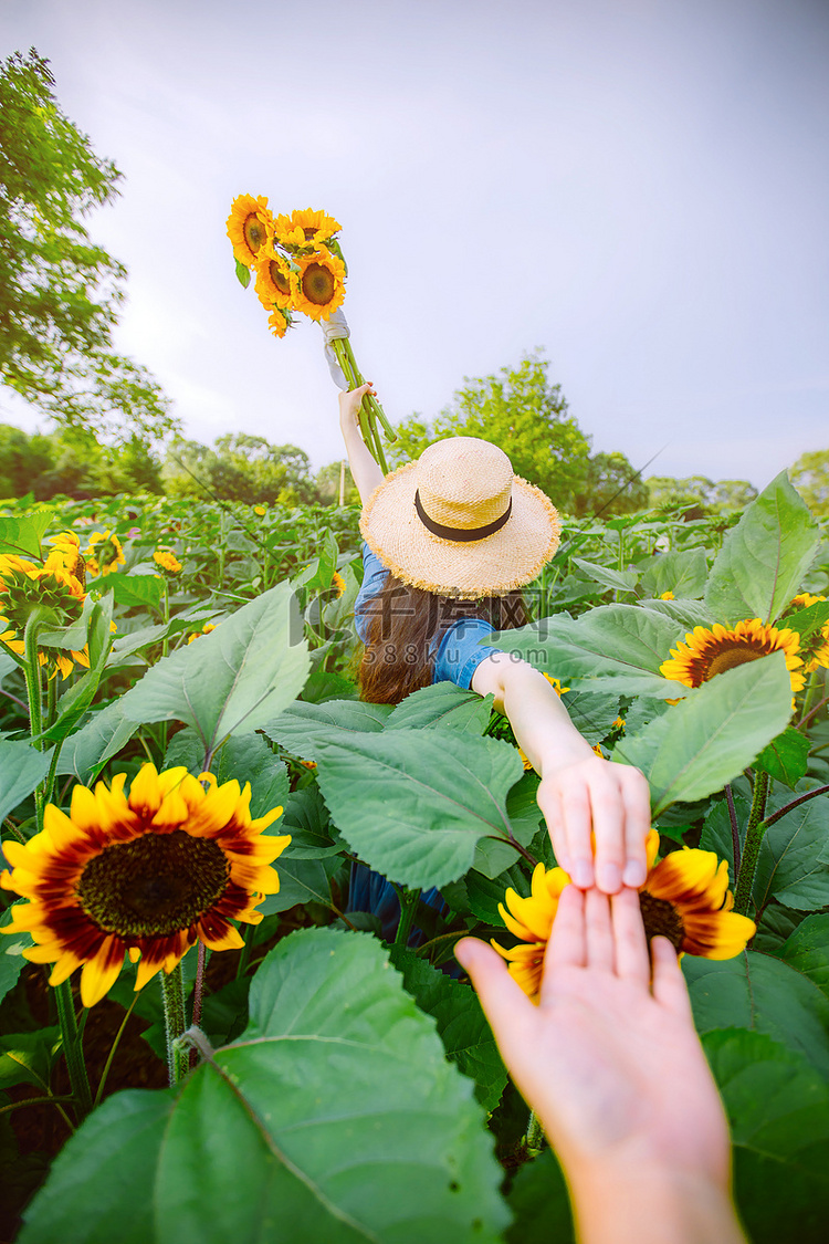 情侣郊游白天夏天向日葵园里的美