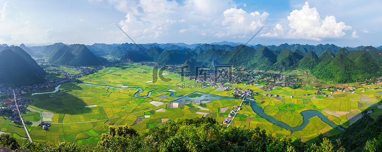 Bac 的儿子，越南流域稻田