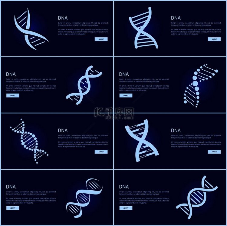 网页的 DNA 收集、带有 D