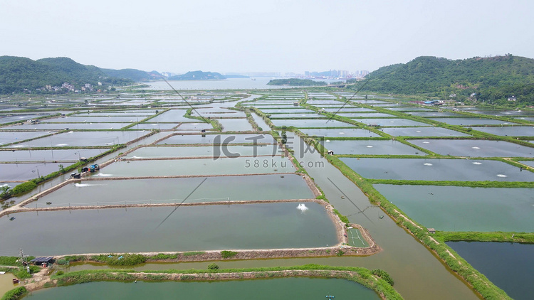 渔业大闸蟹龙虾淡水鱼养殖水产养