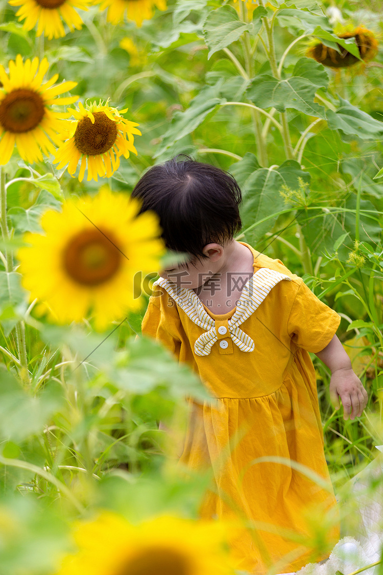 向日葵夏天儿童公园玩耍摄影图配