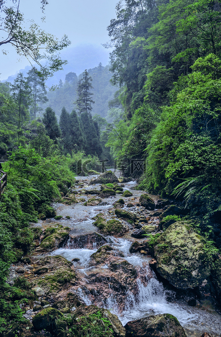 山涧溪水上午溪水夏季素材摄影图