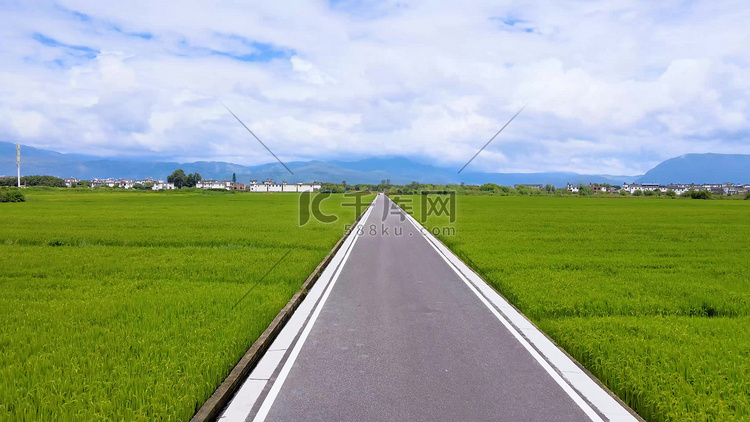 大理洱海农村风景稻田