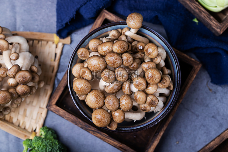 真菌真姬菇菌子生鲜食物摄影图配