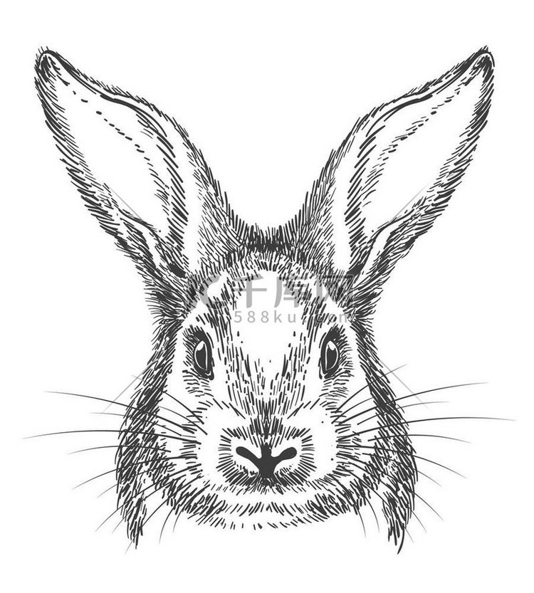 复古手绘兔子脸素描。