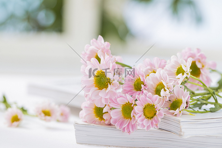 清新文艺花朵白天放在窗前的粉色
