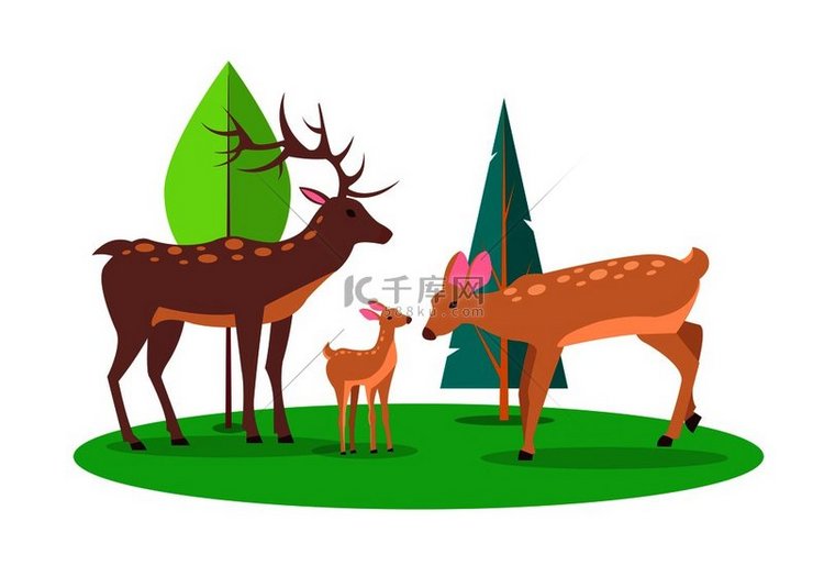 成年雄鹿和母鹿带着他们的森林卡