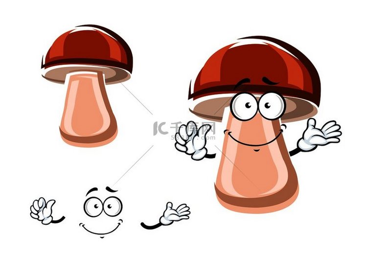 新鲜的棕色 porcini 蘑