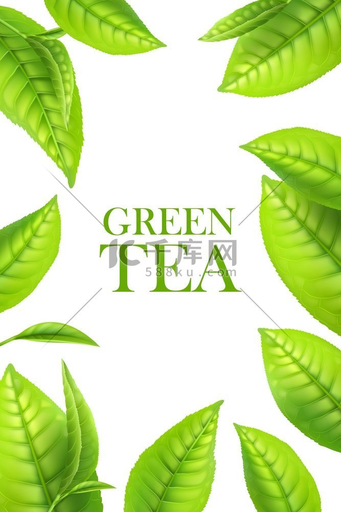 绿茶叶有机草本植物背景3绿叶饮