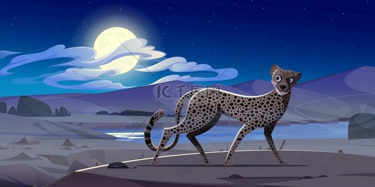 在晚上非洲沙漠景观的猎豹。