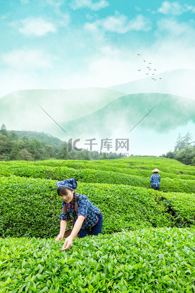 小清新春茶上市背景图片